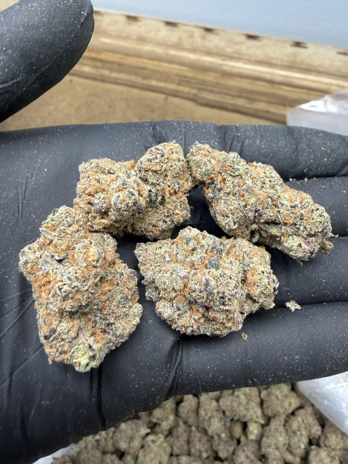 Lizard Bones Flower